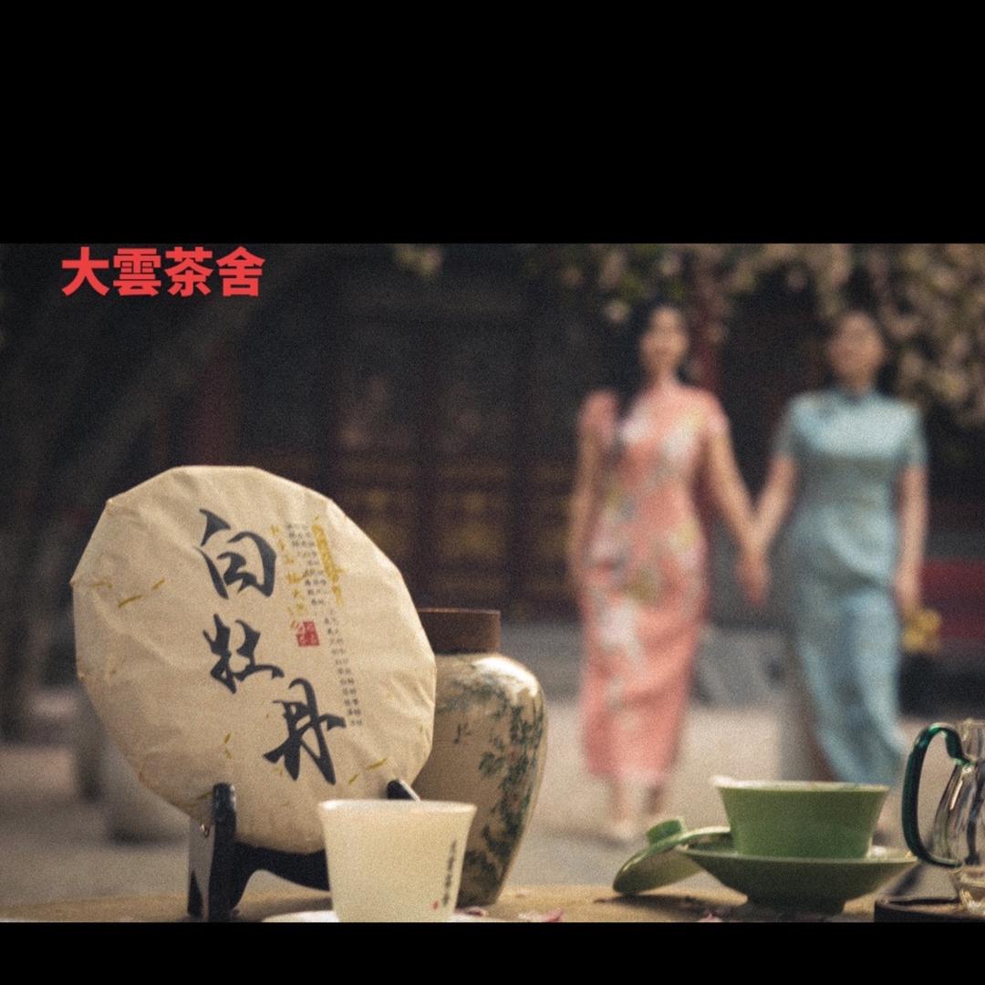 大云茶舍官方号
