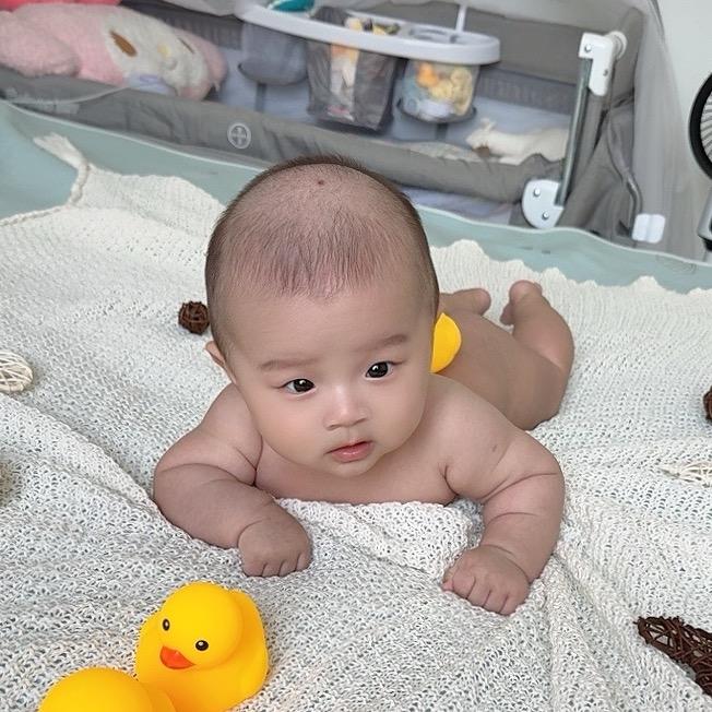 小鱼妈妈