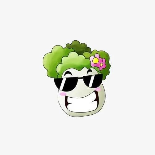 白菜绑子