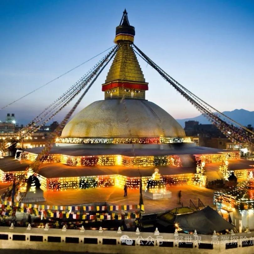 🐁康巴 格桑🐁