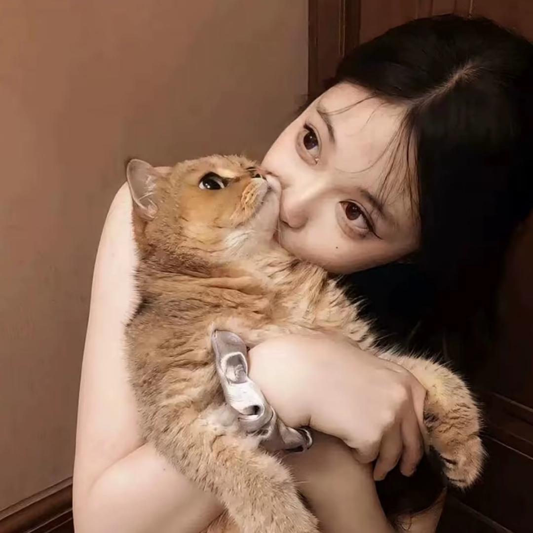 美美💃🏻