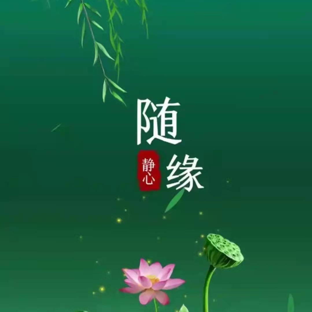 风幽林静