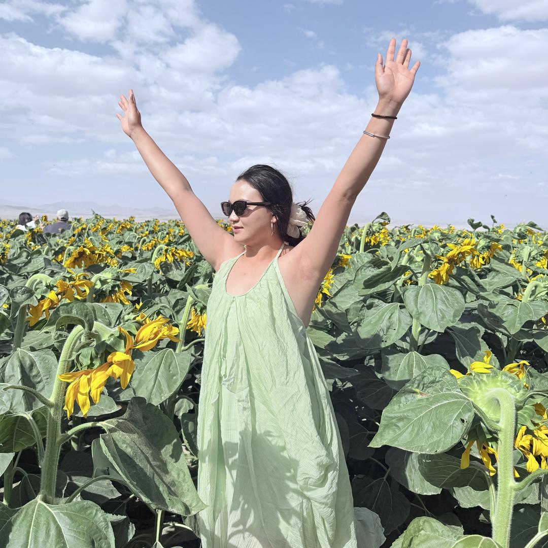 糖渍芭乐（减肥版）