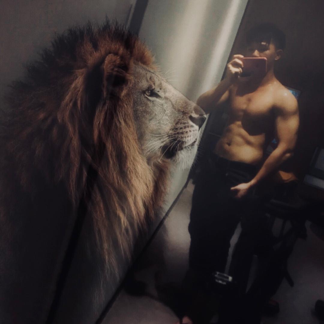 想赚钱的懒洋洋🐑