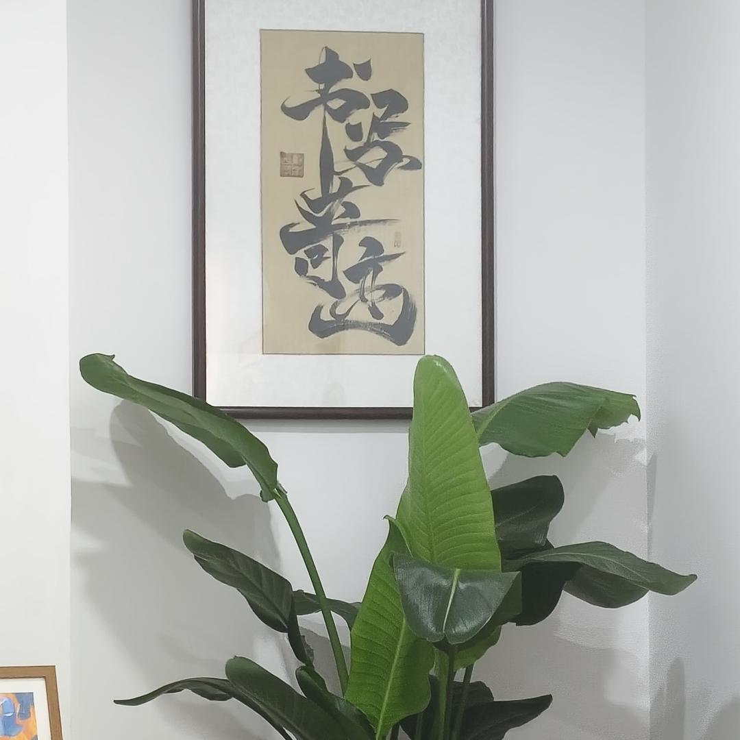 书写奇迹练字花桥校区