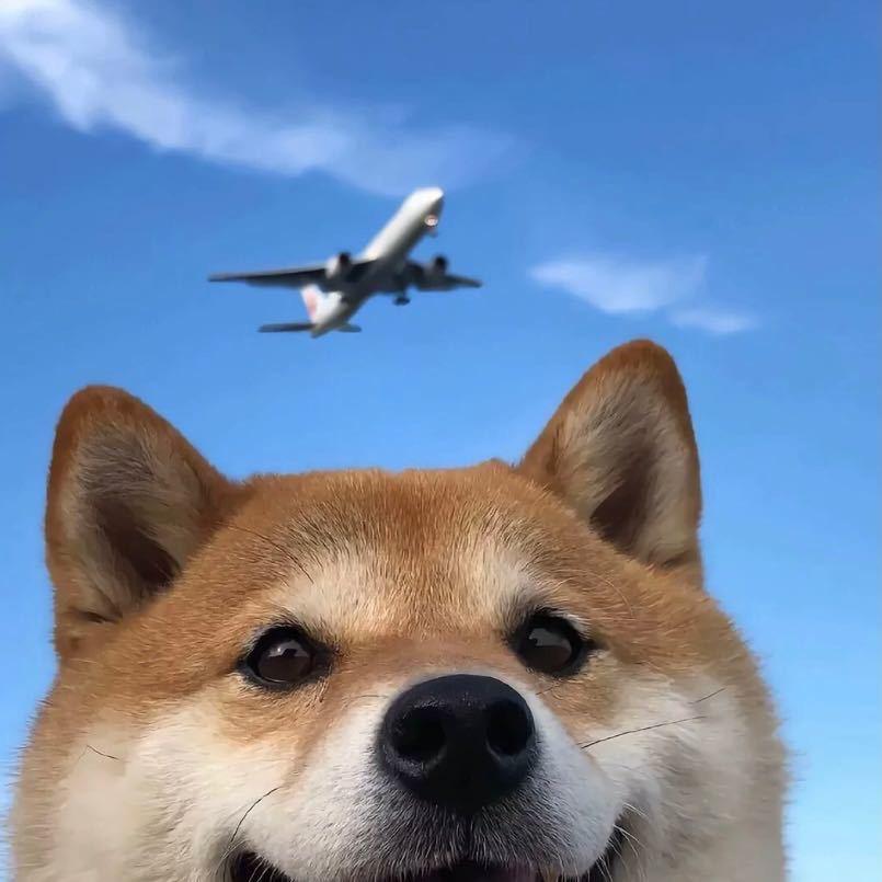 震