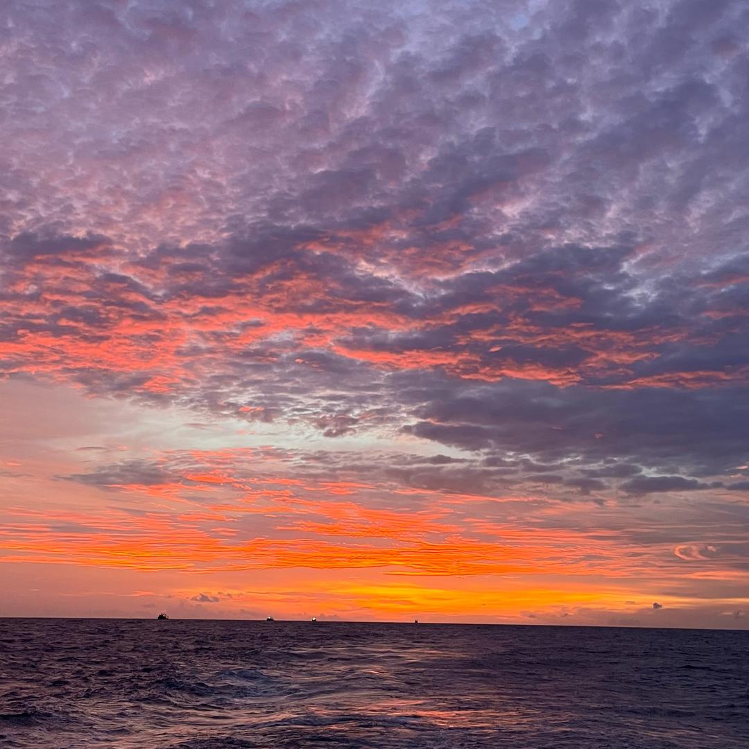 请⃠勿⃠打⃠扰⃠