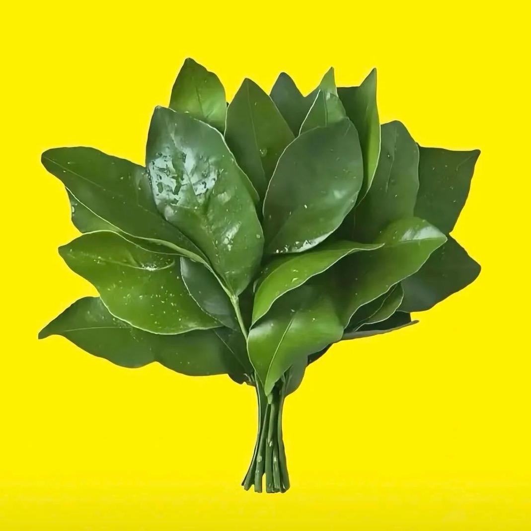 没有I’d