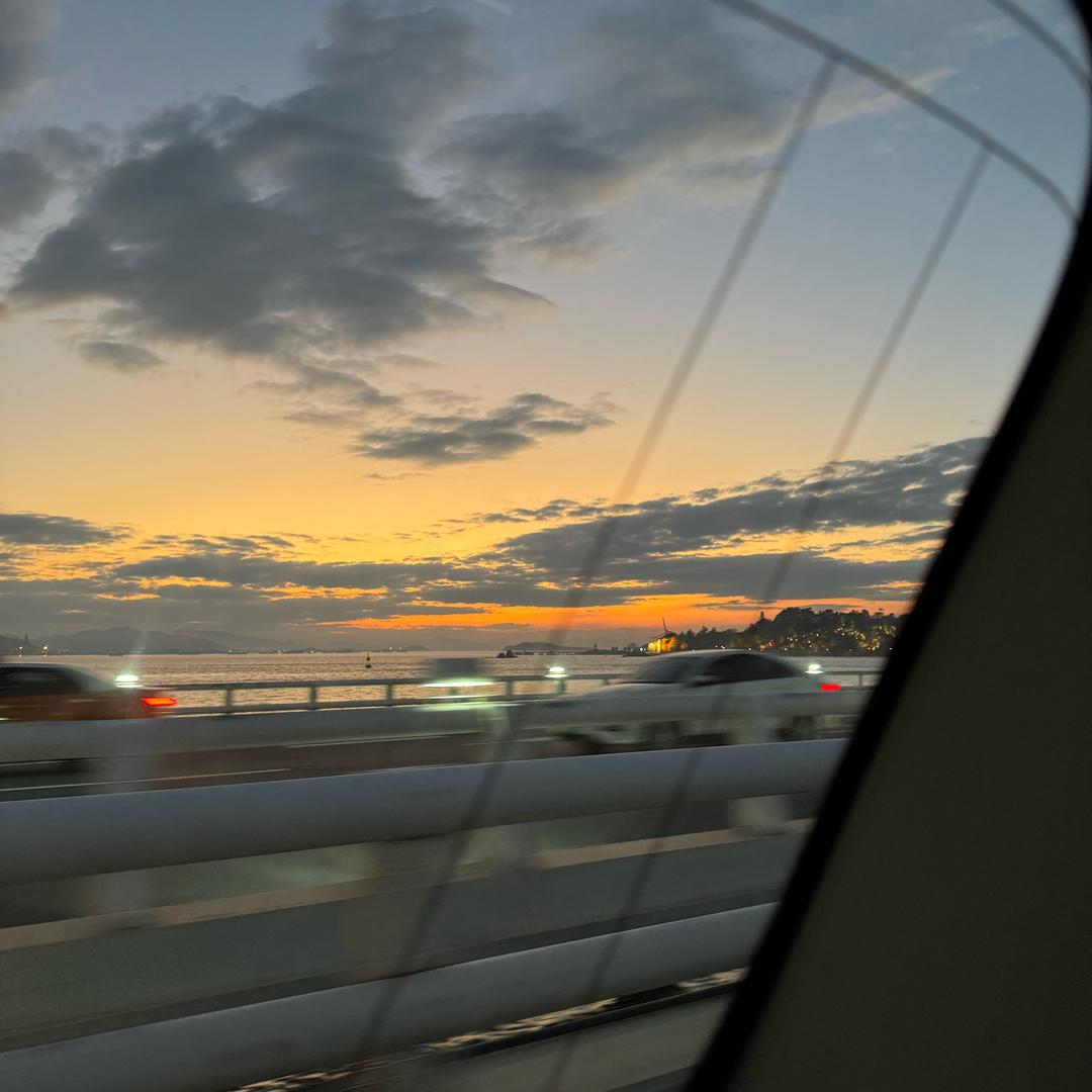 不理不理不理国国王