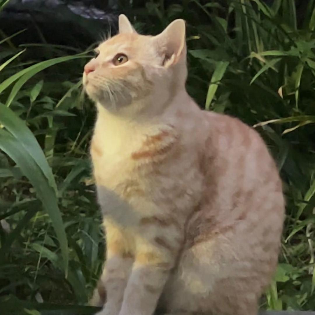 大桓桓呀Aileen@抖音