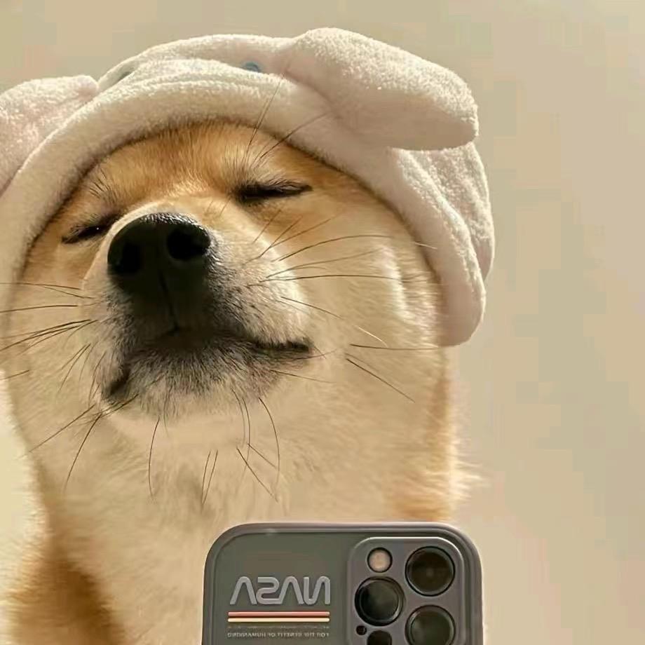 陈😊