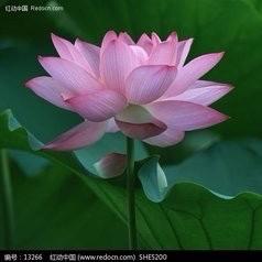 人生百味