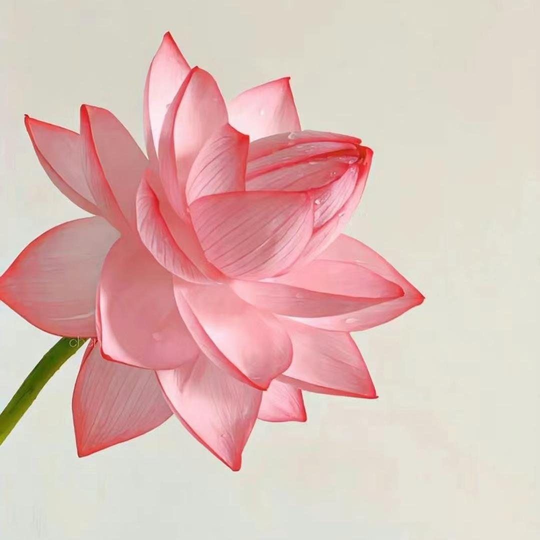 译心1314