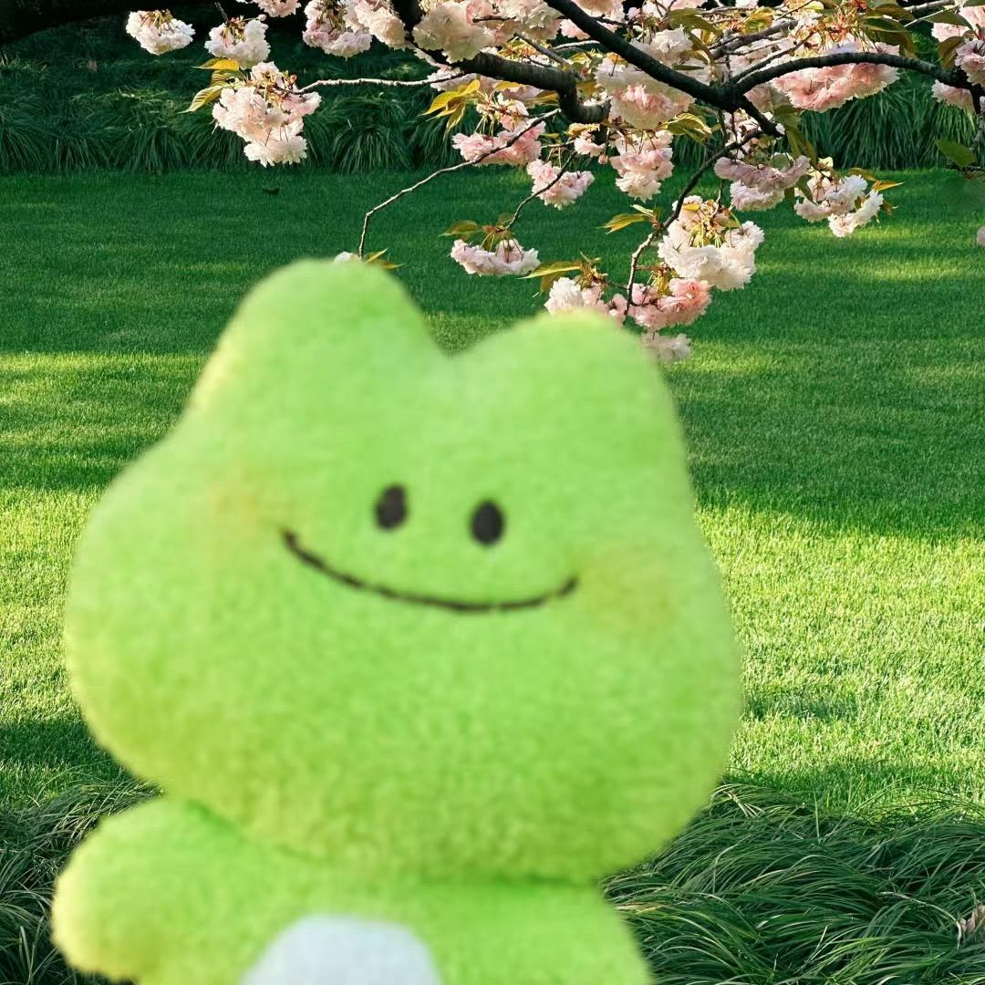 不卷卷的歪歪🙃