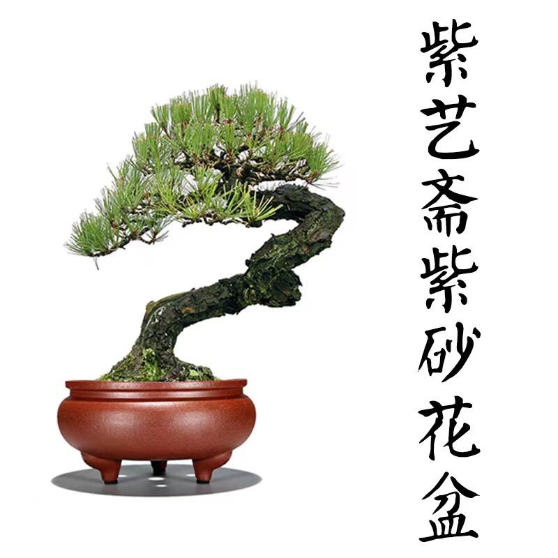 紫艺斋花盆