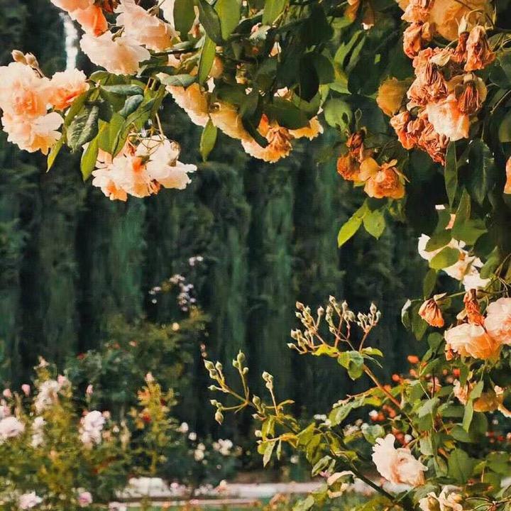 SK国际轻奢男鞋