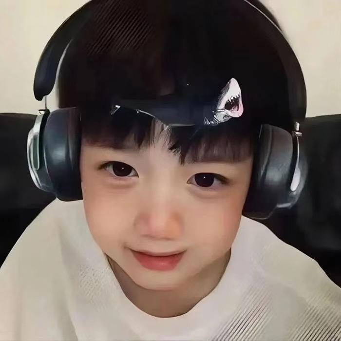 Gemini红豆