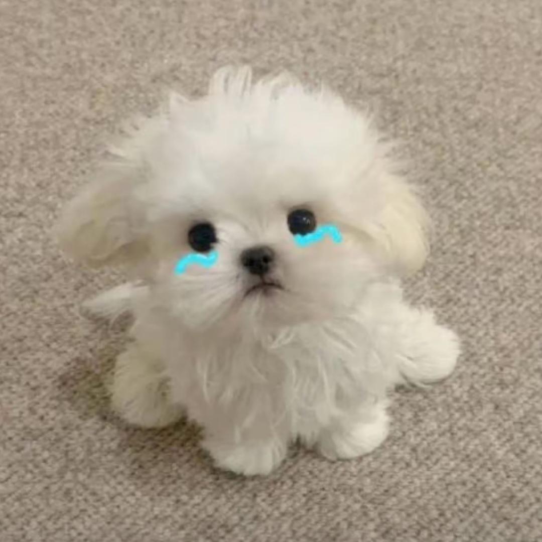 阿巴阿巴