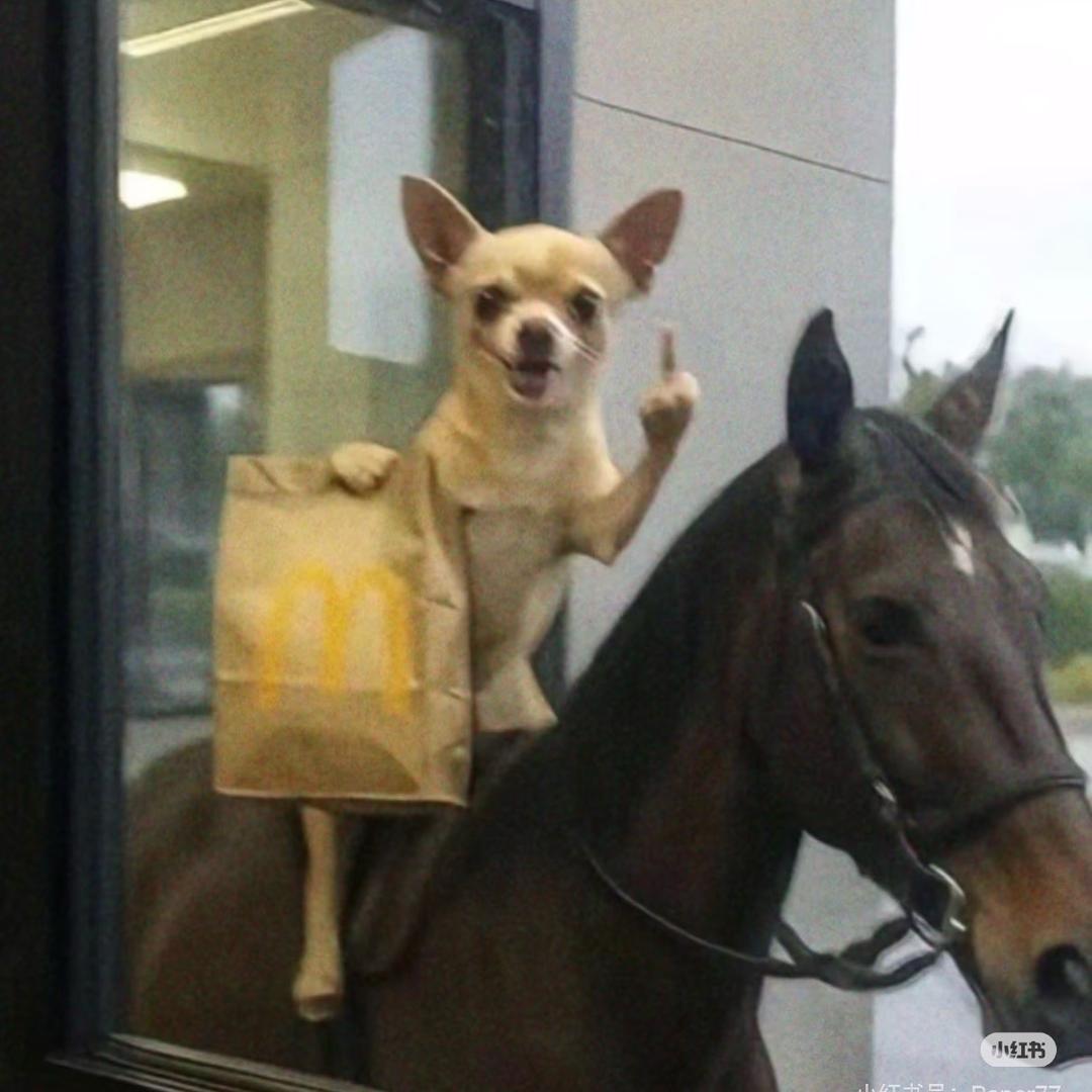 阿卡姆友好人士