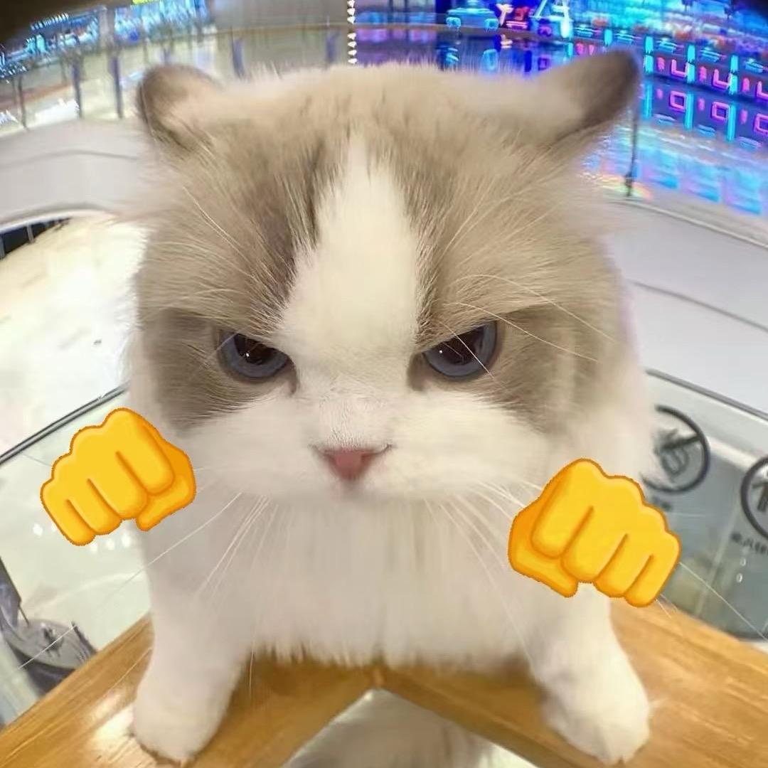 鱼‘