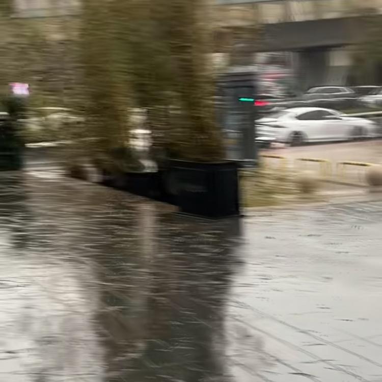 用户4493009574221