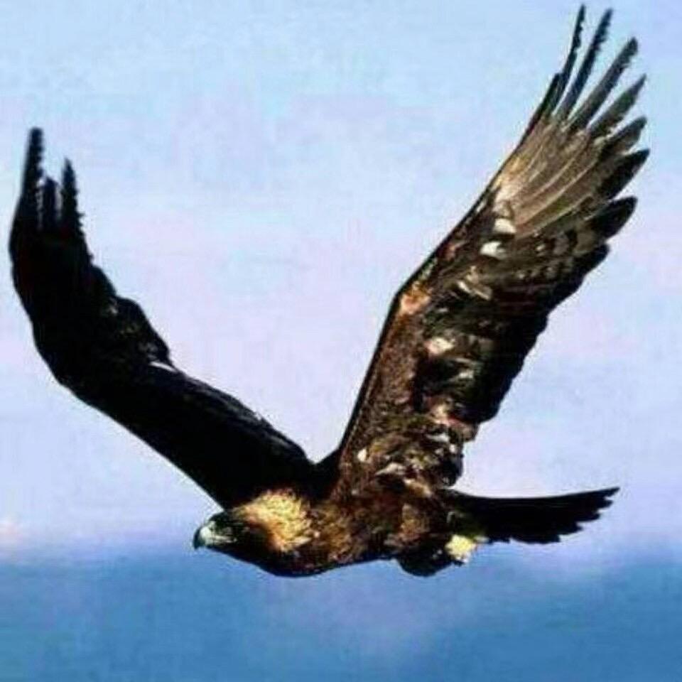 🐉一生平安🐉