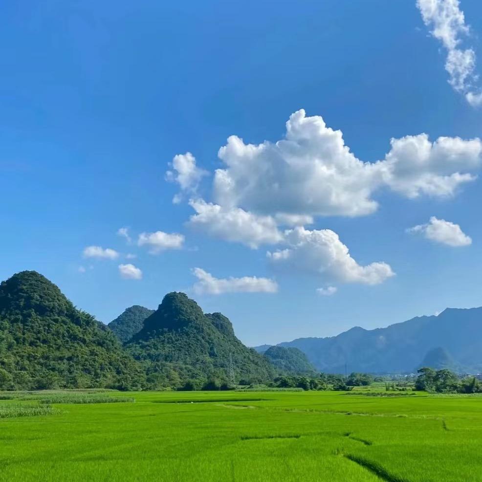 阿靓百货