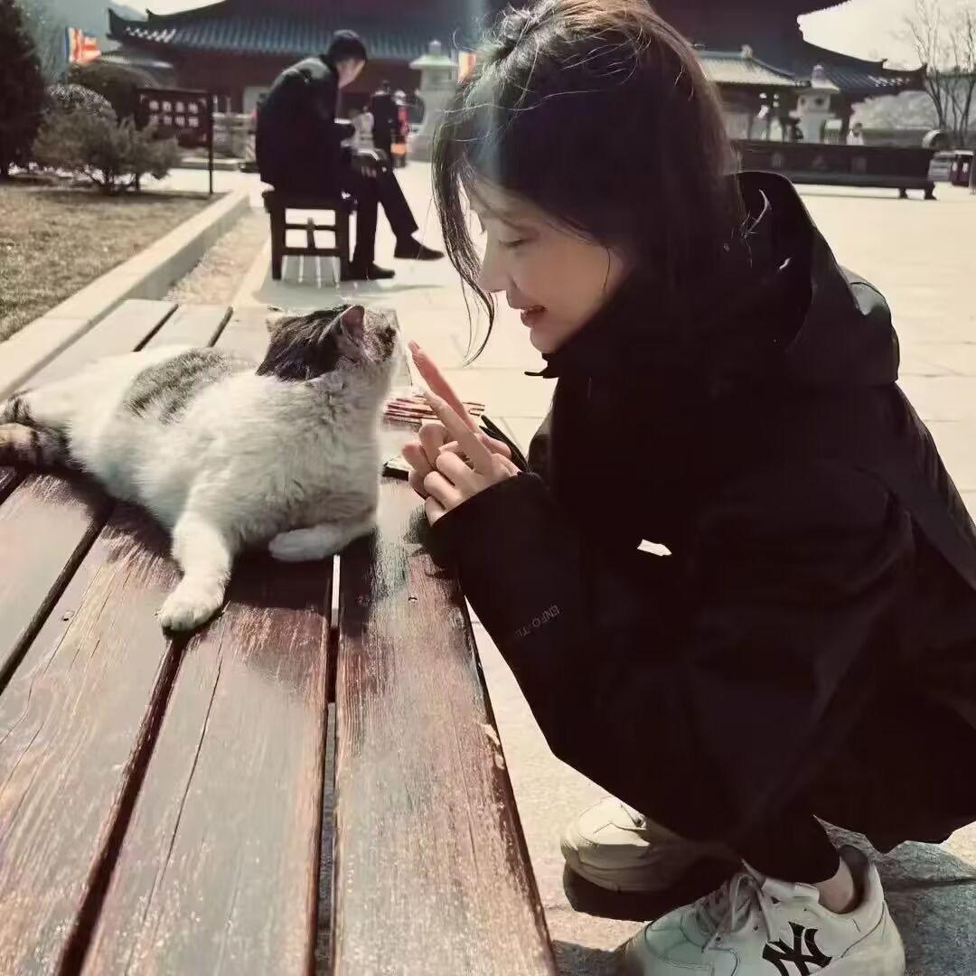皮 蛋