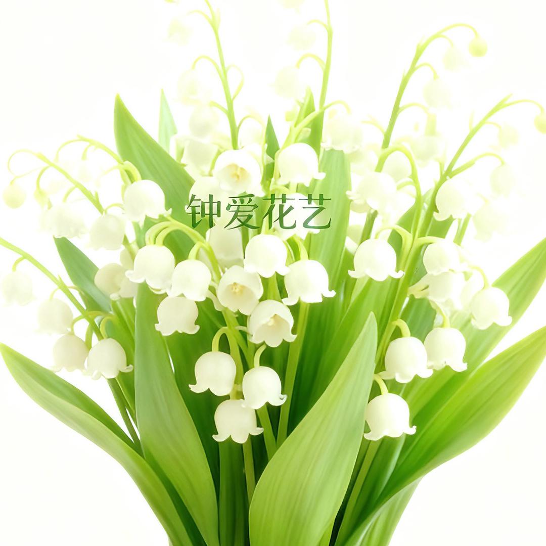 祖国的花朵 • 钟爱花艺