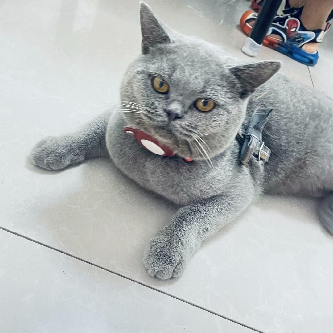 💞এۣۖิ小D好᭄