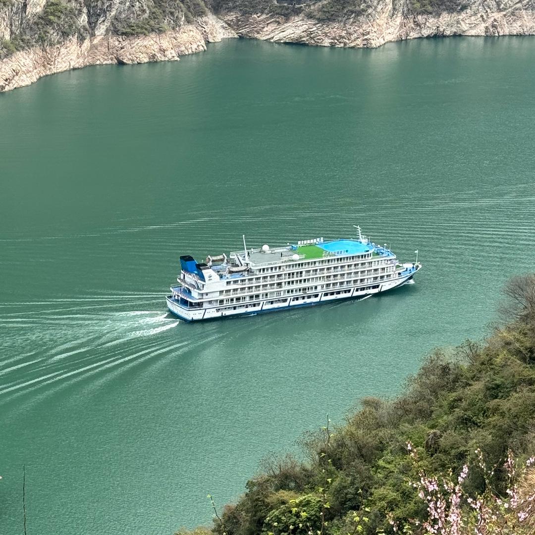 卫子（羚妞妞）