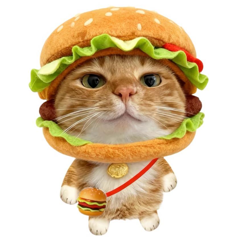 🐭🦁🐰🦊🐯🐒🐣🐱🐳