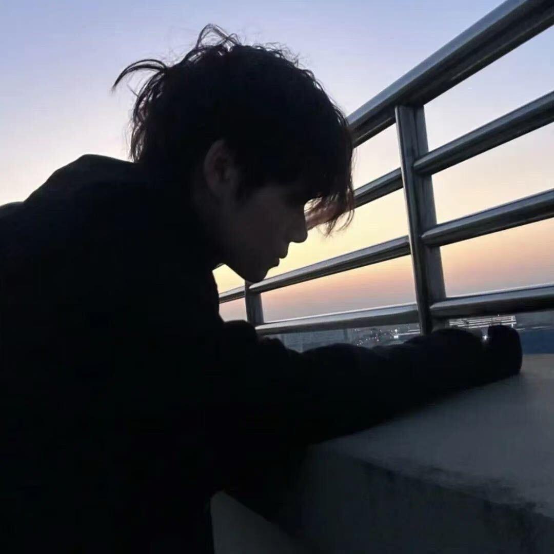 南山不会落梅花.