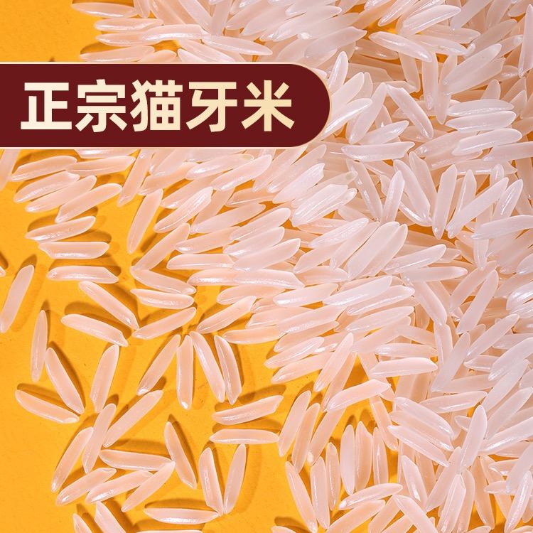 寿城新农人