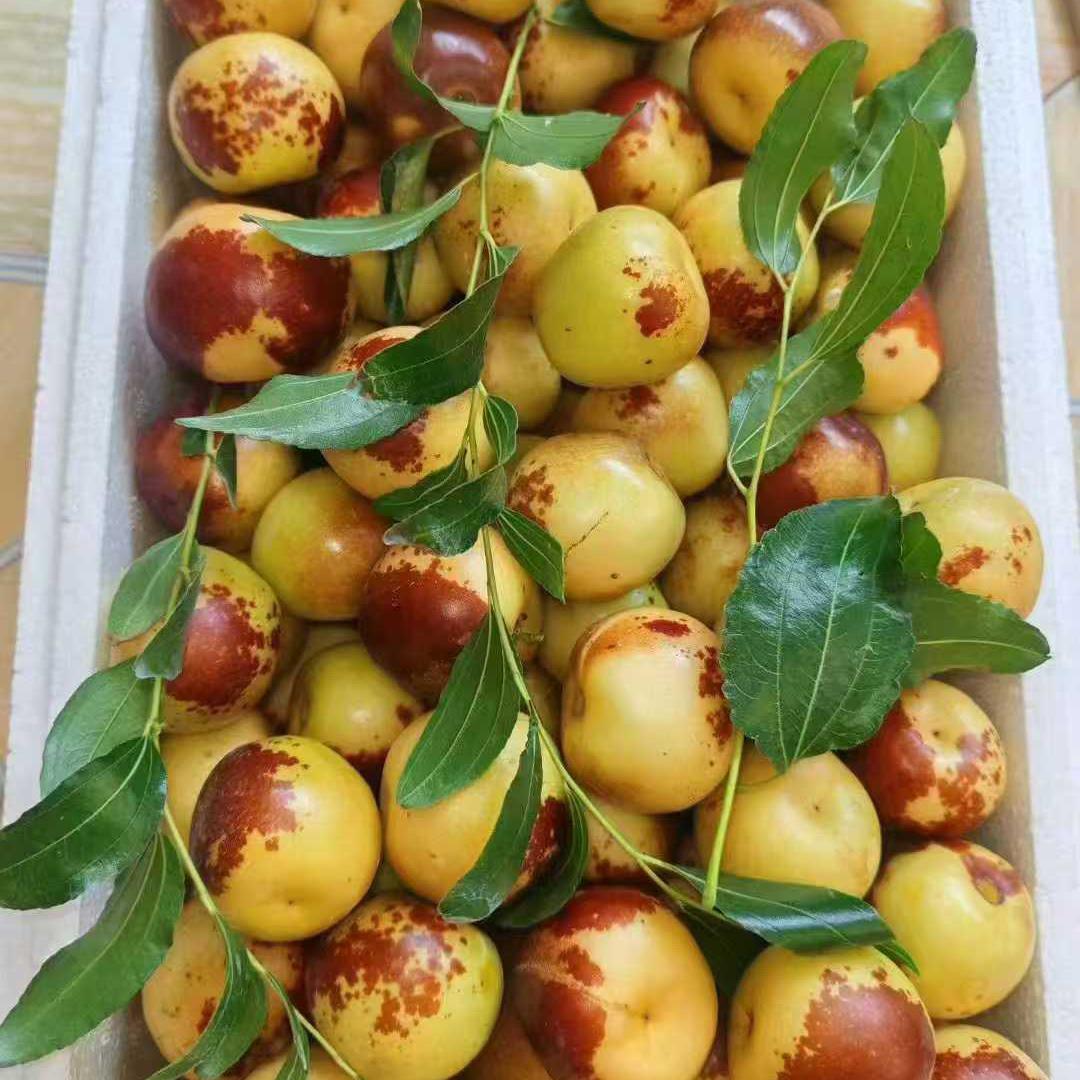小赵沾化冬枣优品店
