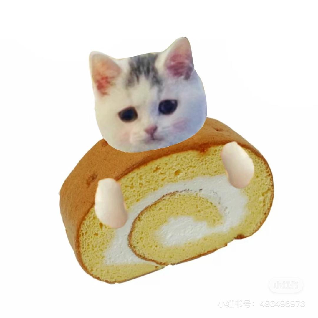 我叫瑞士卷！