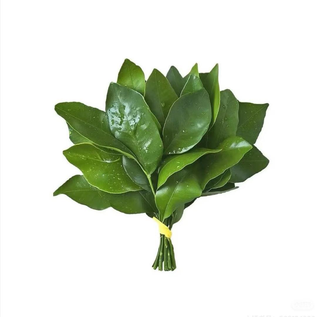 小北
