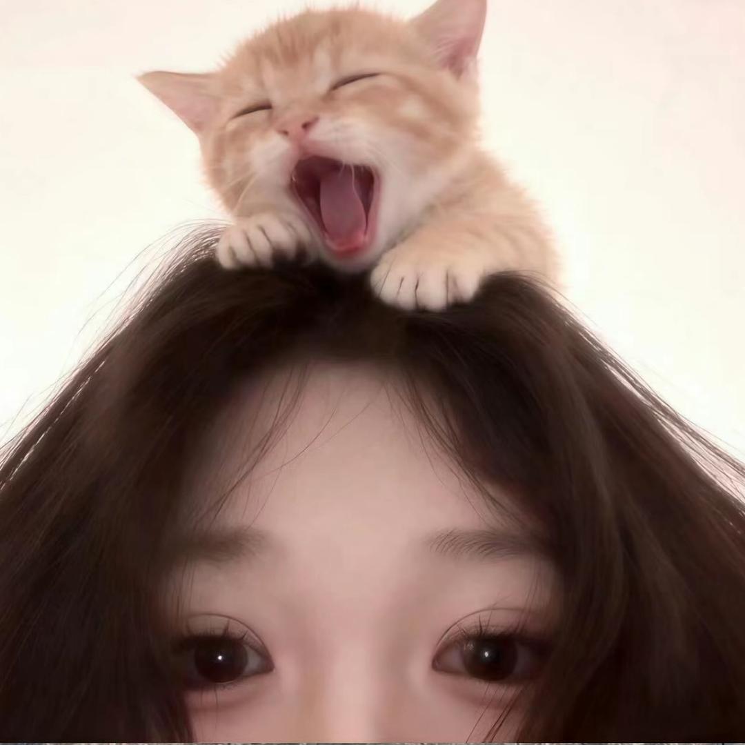 高冷的呆呆鱼.🌚