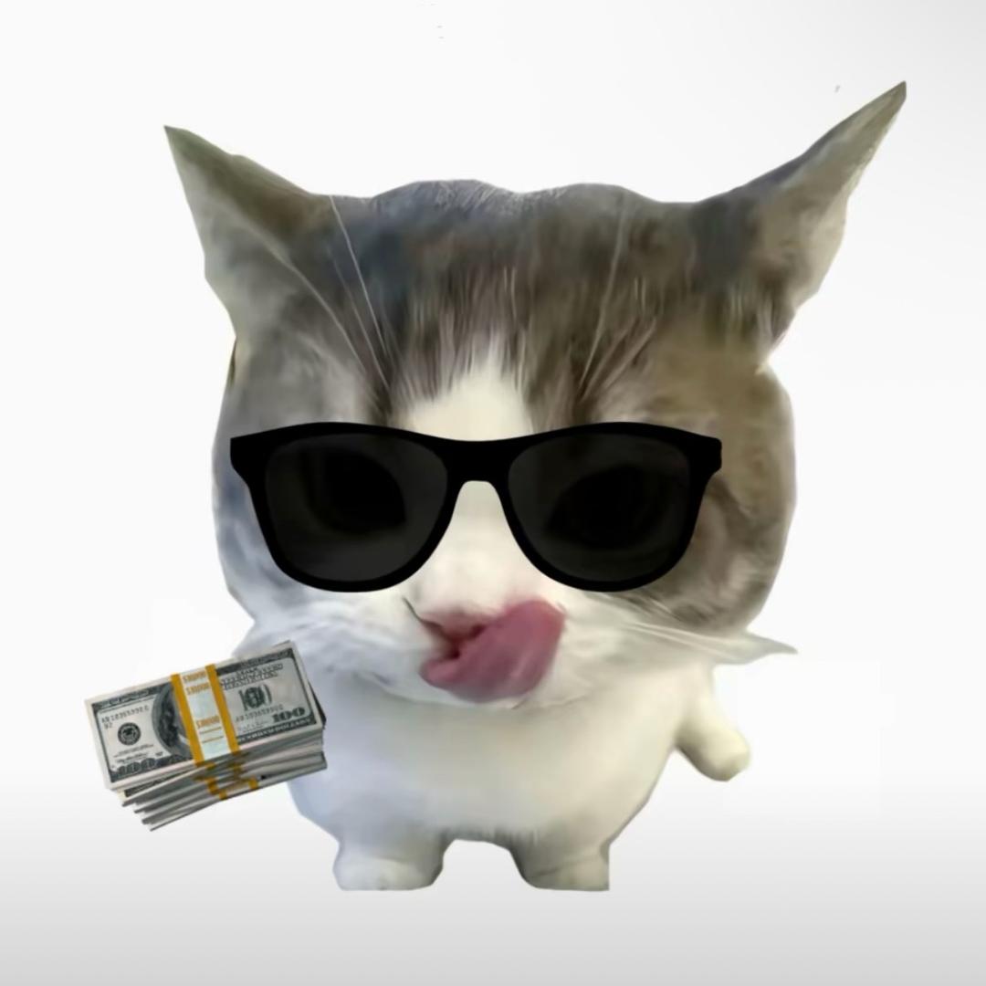 我很笨