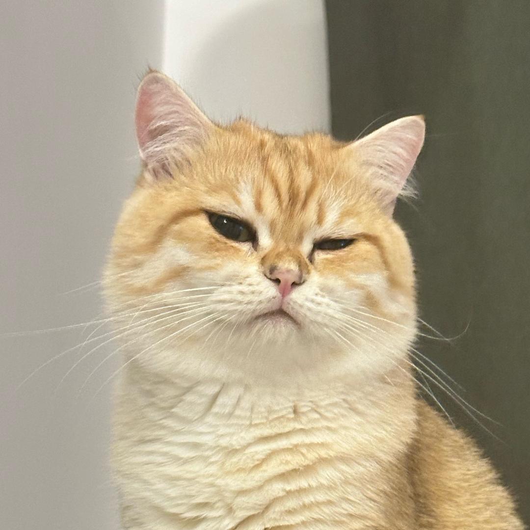 平平子