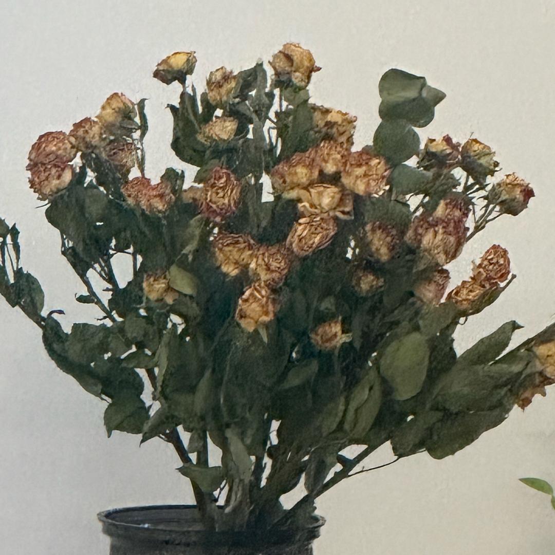 麦子妈妈爱分享