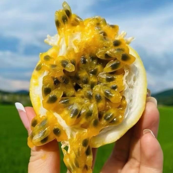 奥德彪鲜升