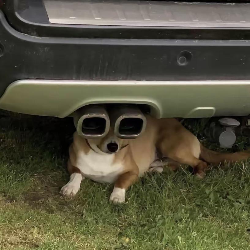 歪兜