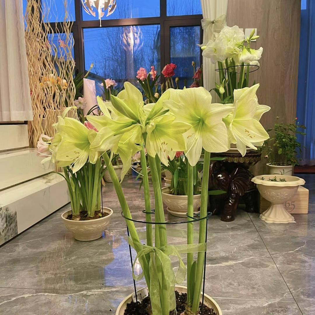 遇见幸福花之苑