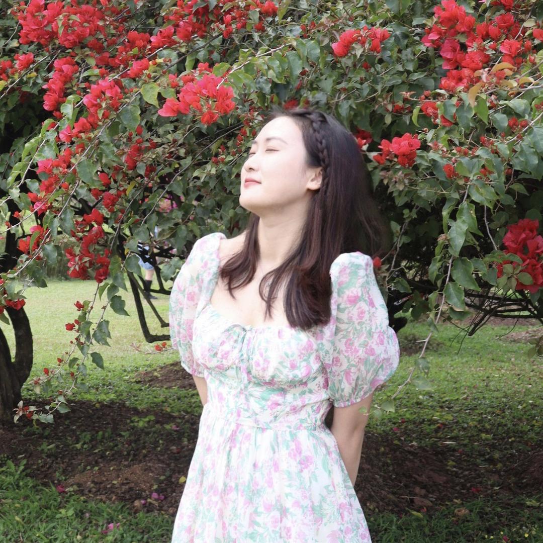 诸葛王