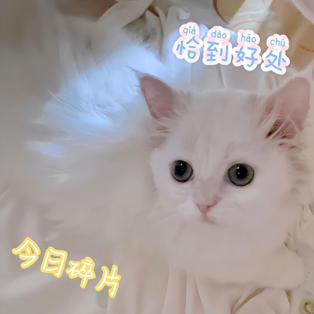 亦心与菡