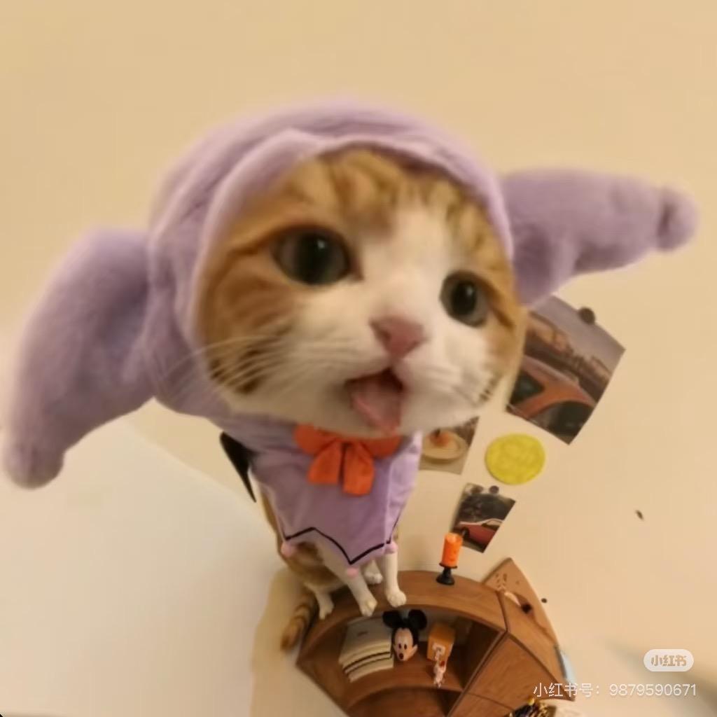 人咪（已被丞磊迷晕版）