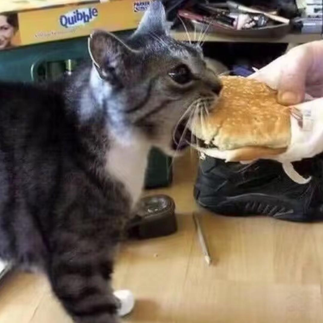 叁陆镹.