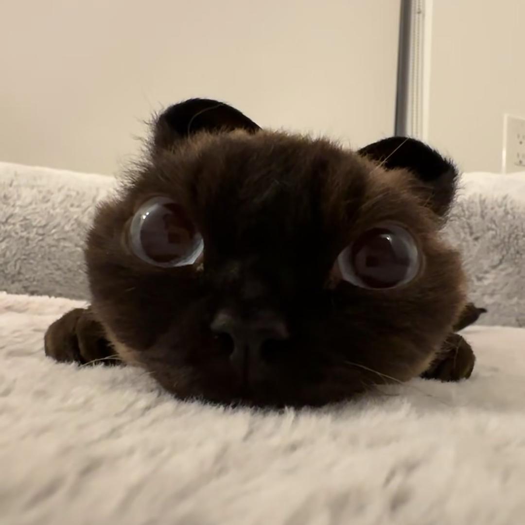 轻松熊🦴