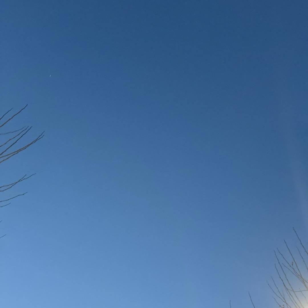 樂顏